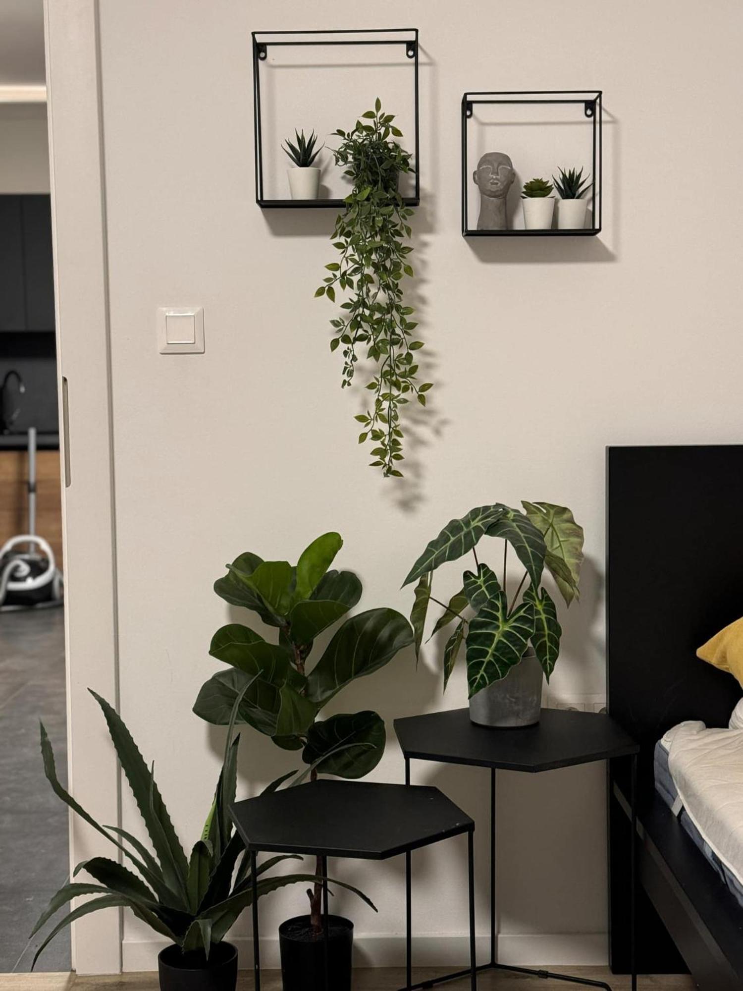 Apartmany Elli Mýto pod Ďumbierom Extérieur photo
