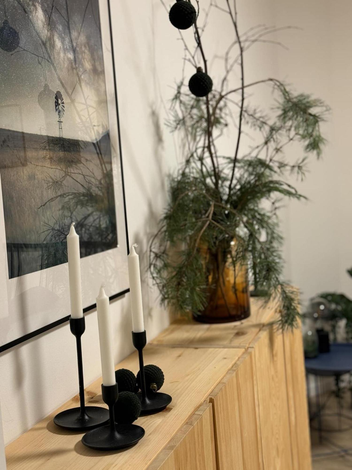 Apartmany Elli Mýto pod Ďumbierom Extérieur photo